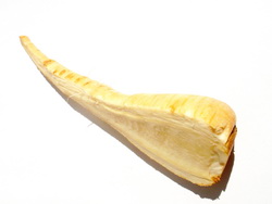 Pa&scaron;trnjak